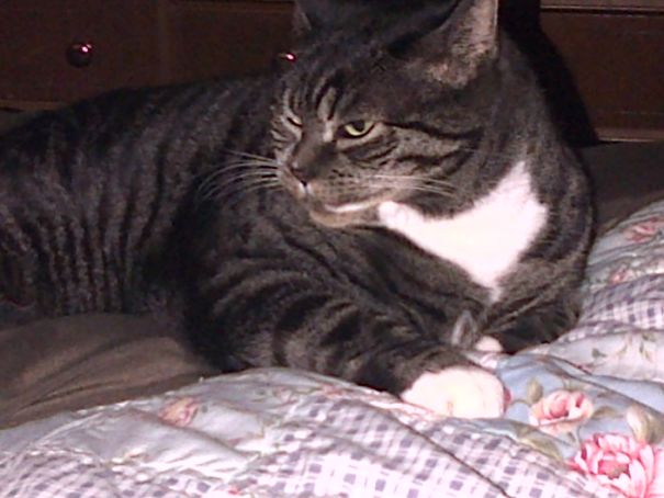 I Will Eat Your Soul ~