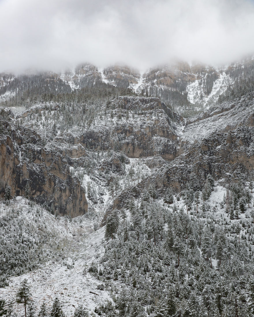 I Drive Around To Find And Photograph Dreamy Foggy Scenes