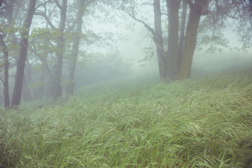 I Drive Around To Find And Photograph Dreamy Foggy Scenes