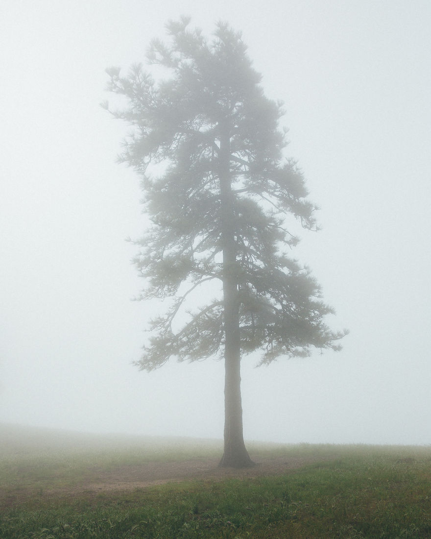 I Drive Around To Find And Photograph Dreamy Foggy Scenes