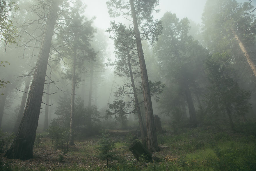 I Drive Around To Find And Photograph Dreamy Foggy Scenes