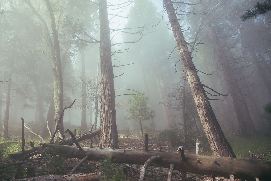 I Drive Around To Find And Photograph Dreamy Foggy Scenes