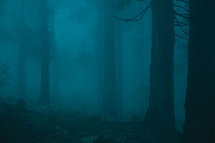 I Drive Around To Find And Photograph Dreamy Foggy Scenes