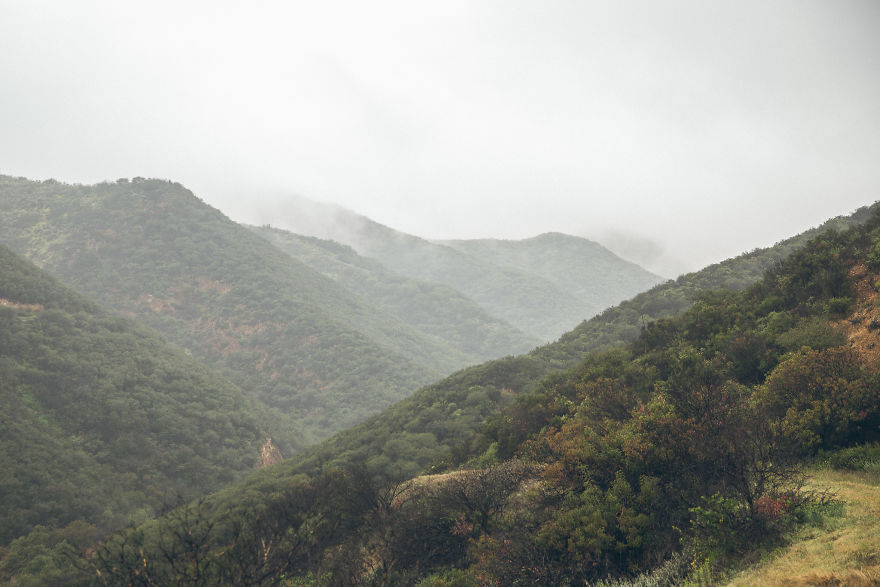 I Drive Around To Find And Photograph Dreamy Foggy Scenes
