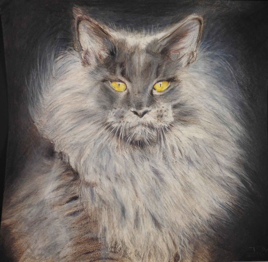 My Attempts At Photo-Realistic Images Using Pencil