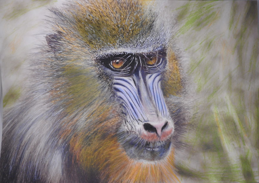 My Attempts At Photo-Realistic Images Using Pencil