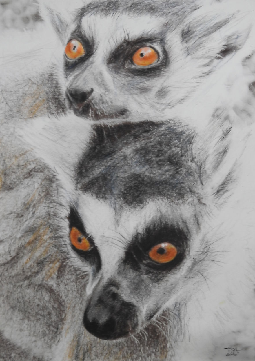 My Attempts At Photo-Realistic Images Using Pencil