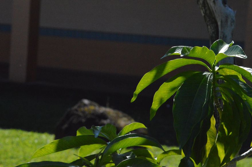 New Photographer, Age 15