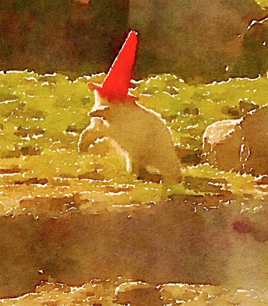 Nora The Polar Bear Watercolor Series Nora The Polar Bear Watercolor Series