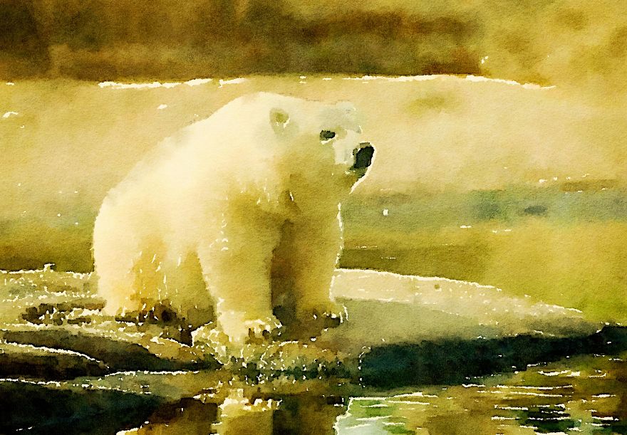 Nora The Polar Bear Watercolor Series