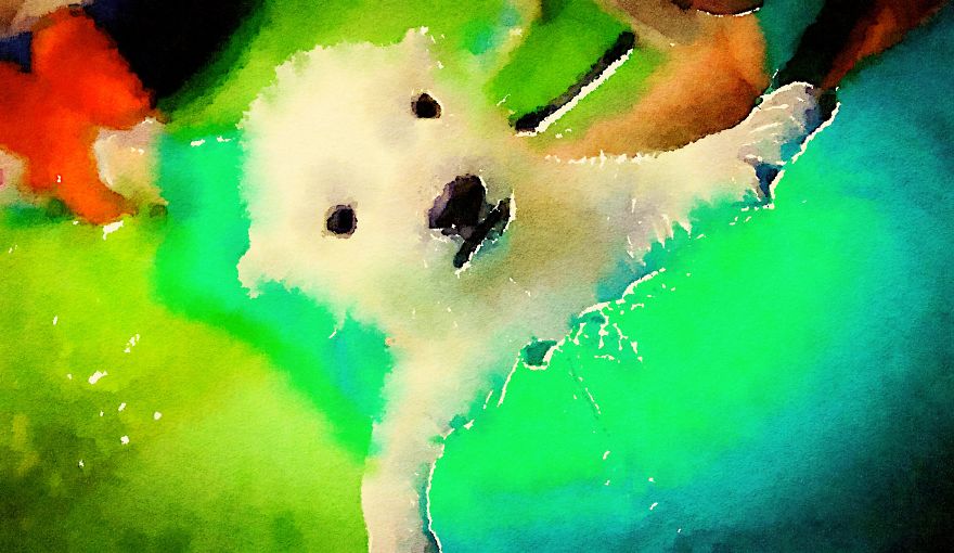 Nora The Polar Bear Watercolor Series Nora The Polar Bear Watercolor Series