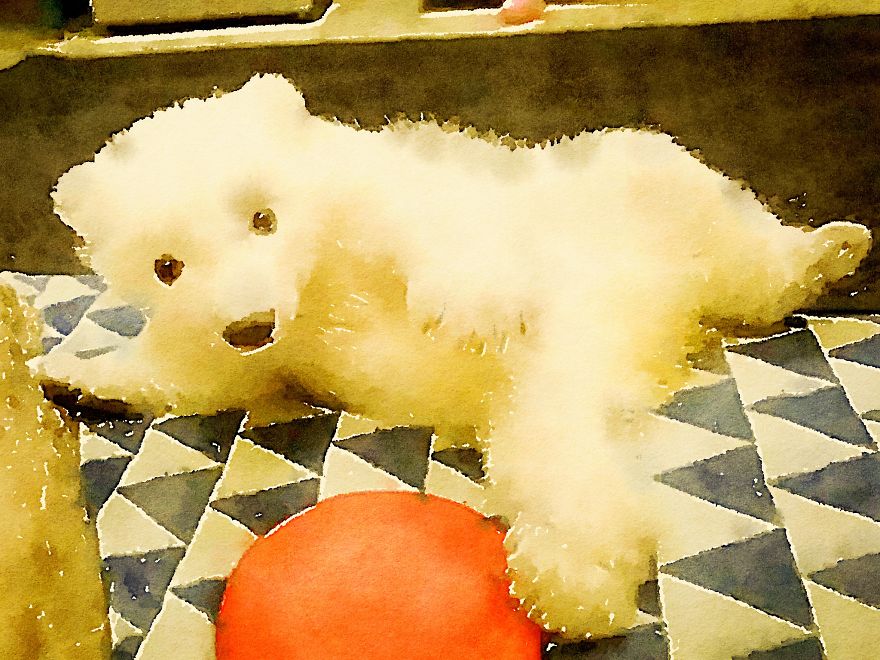 Nora The Polar Bear Watercolor Series