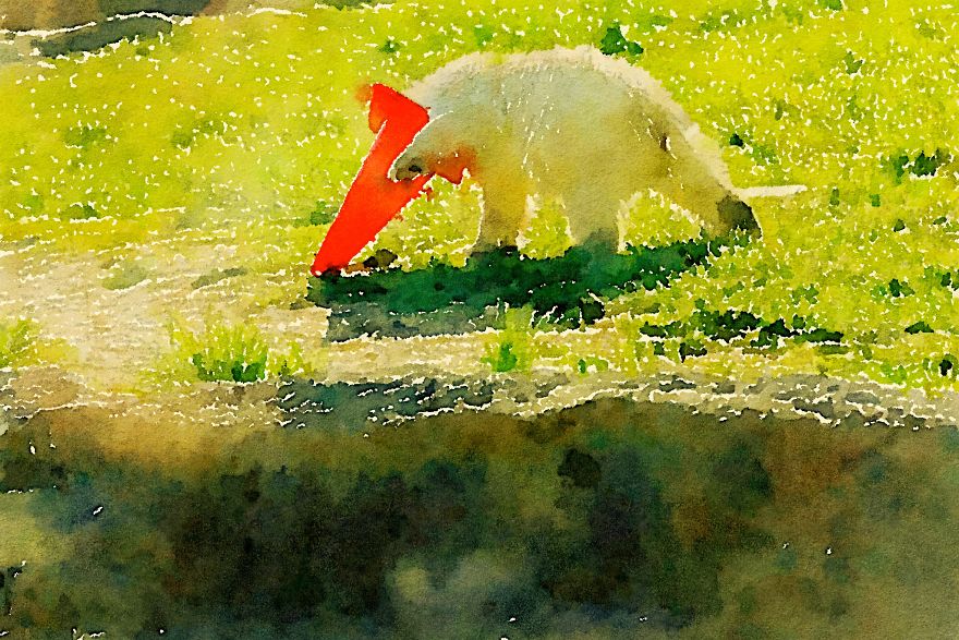 Nora The Polar Bear Watercolor Series