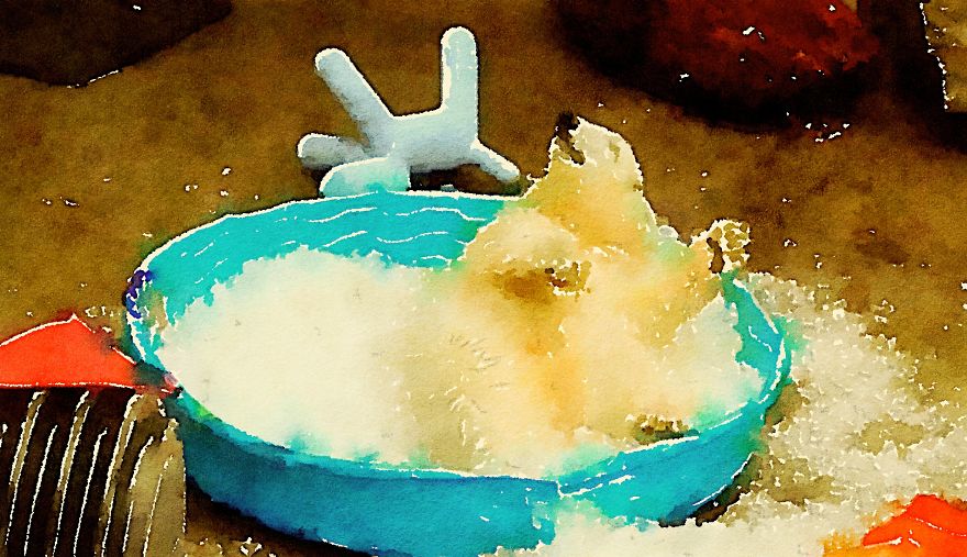 Nora The Polar Bear Watercolor Series Nora The Polar Bear Watercolor Series