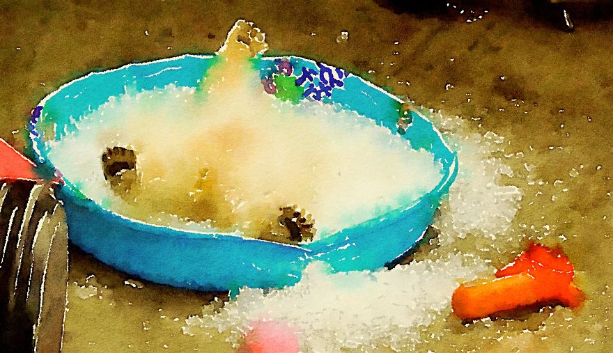 Nora The Polar Bear Watercolor Series Nora The Polar Bear Watercolor Series