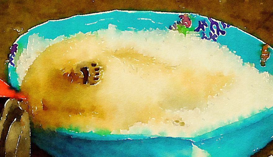 Nora The Polar Bear Watercolor Series
