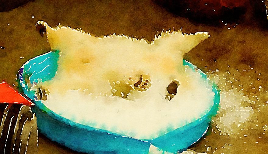 Nora The Polar Bear Watercolor Series Nora The Polar Bear Watercolor Series