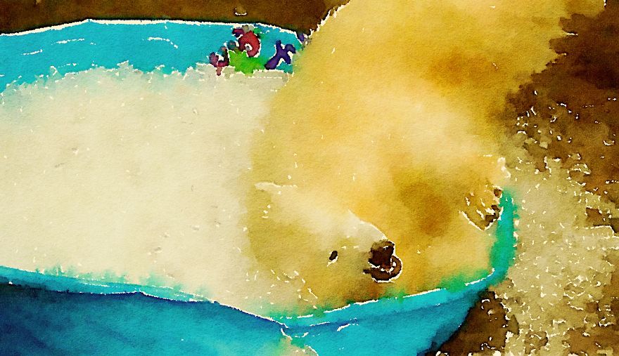 Nora The Polar Bear Watercolor Series Nora The Polar Bear Watercolor Series