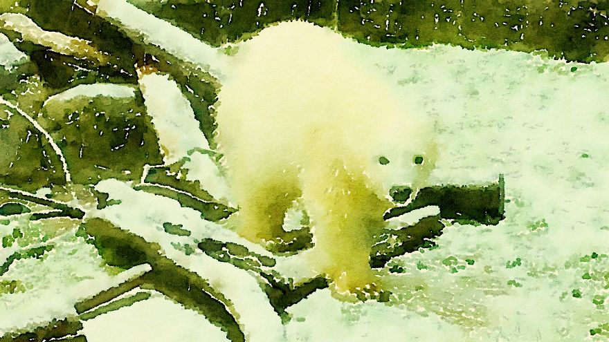 Nora The Polar Bear Watercolor Series