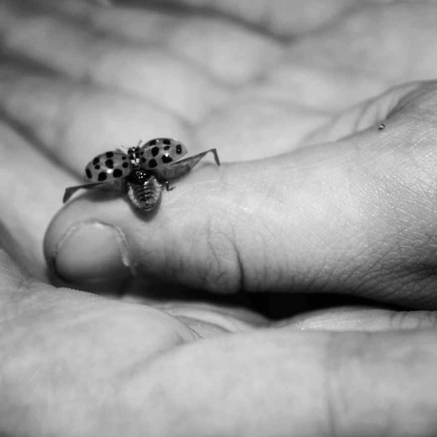 My Monochrome World.