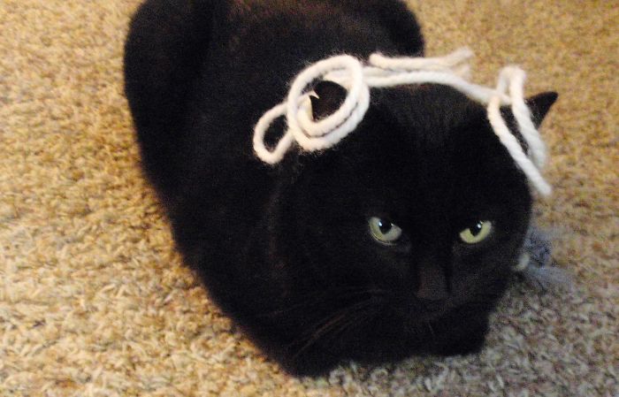 Okay, I'm A Pretty Pretty Princess. For Now... While I Plot My Revenge.