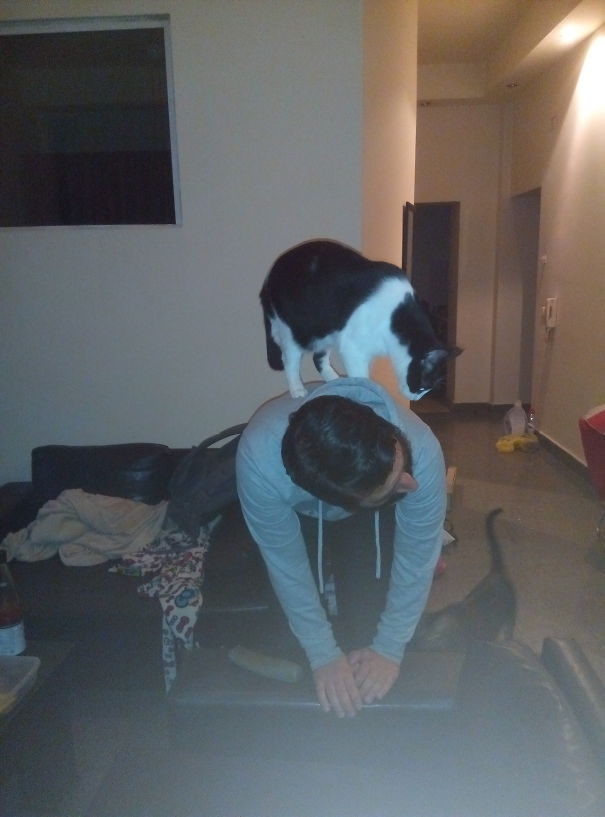 You Are My Slave, Stupid Human!