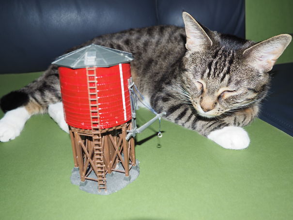 How Do I Get Water Out Of This Thing?