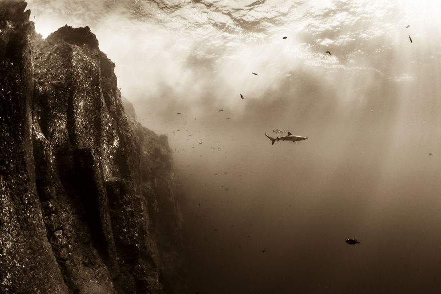 Christian Vizl, Mexico (Professional, Natural World)