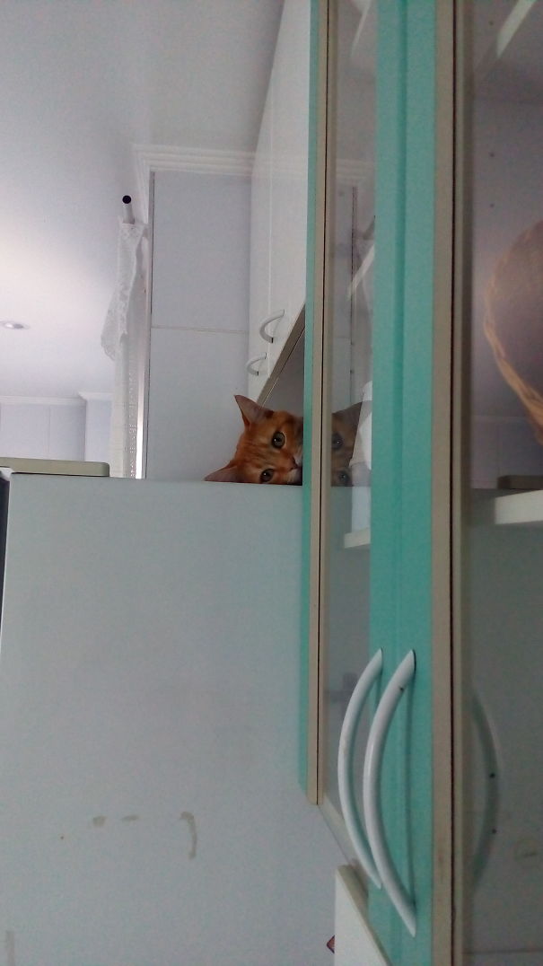 My Life On Freezer...