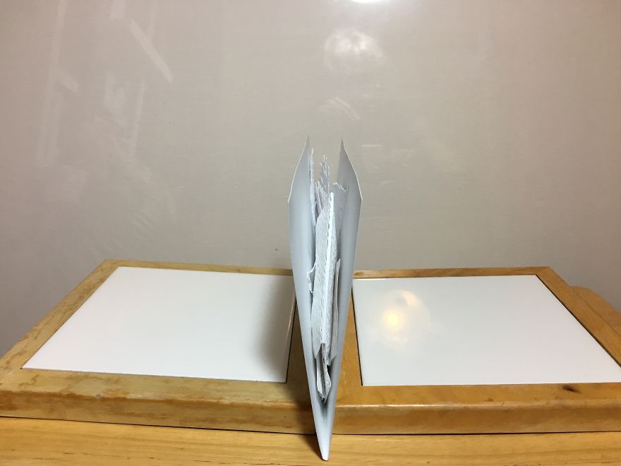 I Created A Pop-Up Paper Art Piece