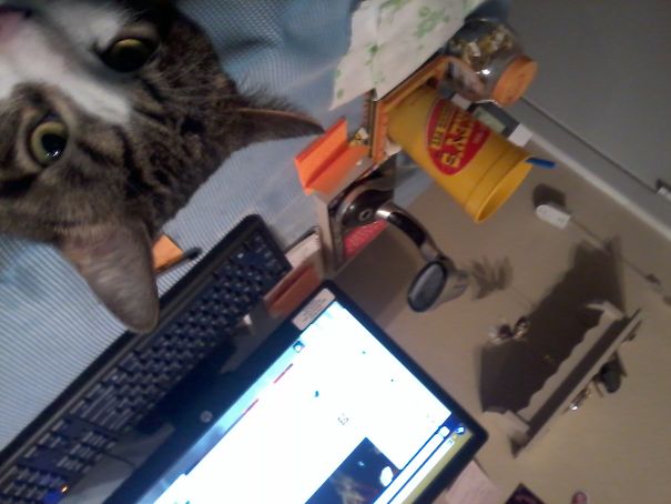 No More...................