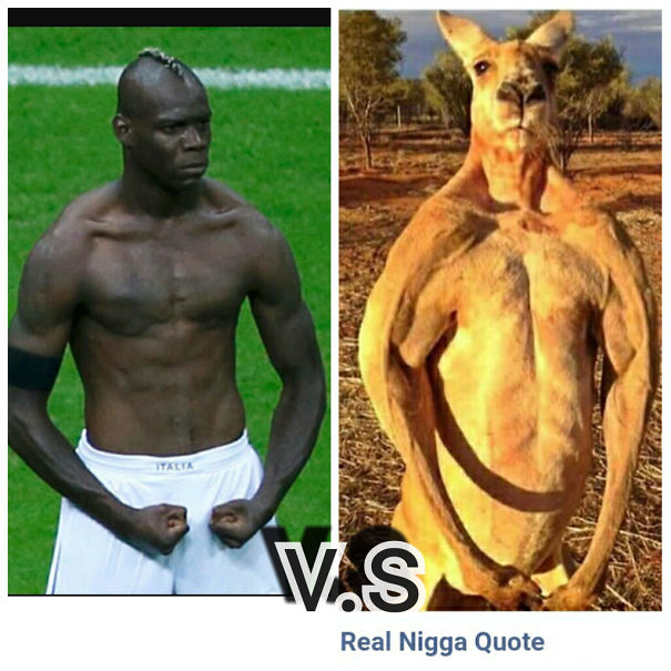 Last Creature Standing