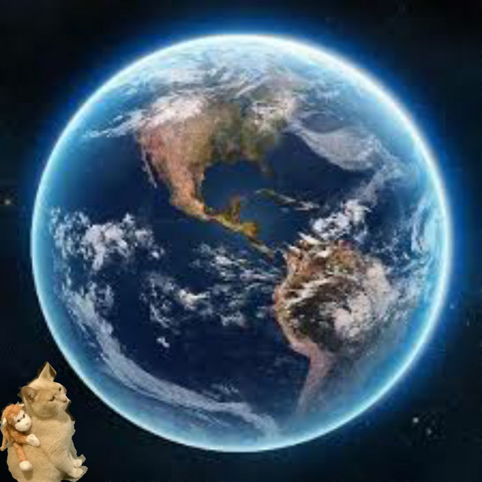 Cat An His Toy Looking At The World