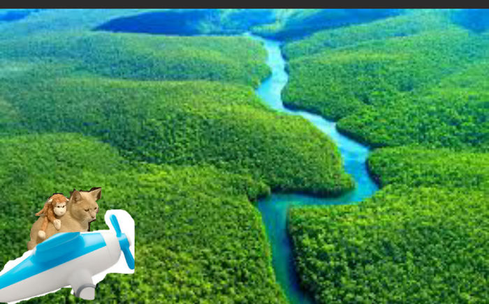 Cat And His Toy Above The Amazon Forest