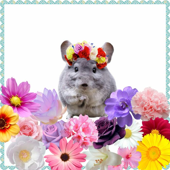 Flowers...... Flowers And Lots Of Flowers