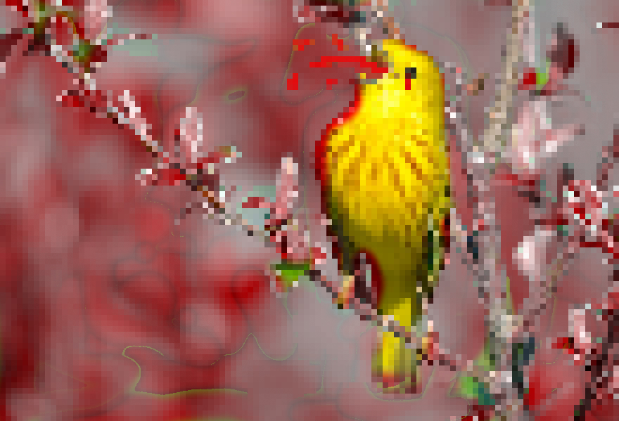 8 Bit Bloody Bird!
