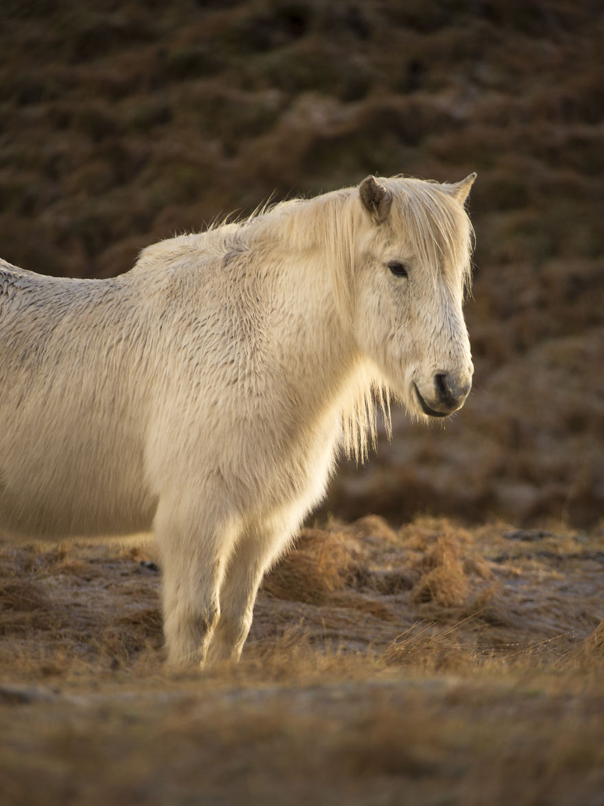 I Spent 2 Freezing Weeks Sleeping In The Car To Capture These Photos Of Iceland In Mid Winter I Spent 2 Freezing Weeks Sleeping In The Car To Capture These Photos Of Iceland In Mid Winter
