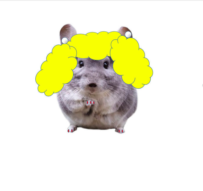 Just Got My Fur Did!