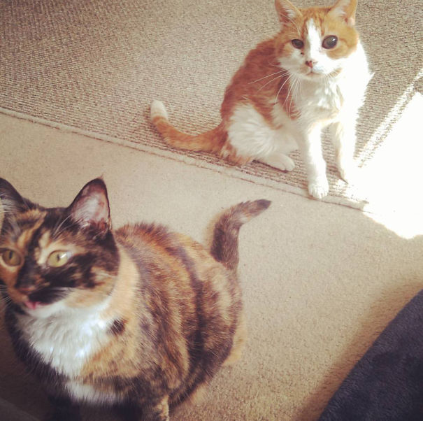 There's Always That One In The Family