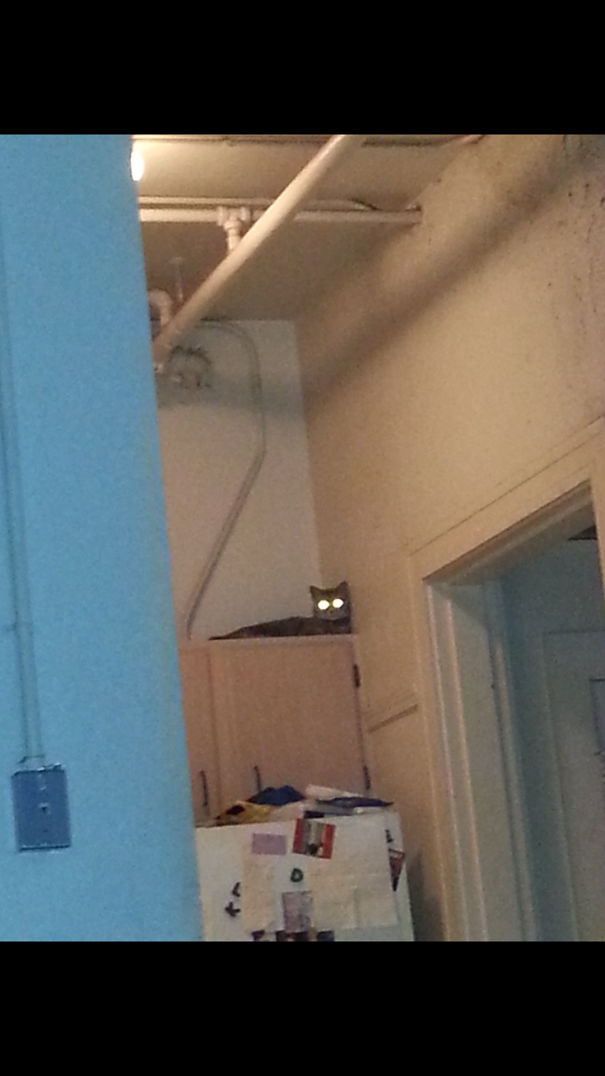 Coming For Your Soul