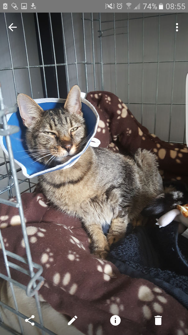 He Is Always Watching, Always Judging.