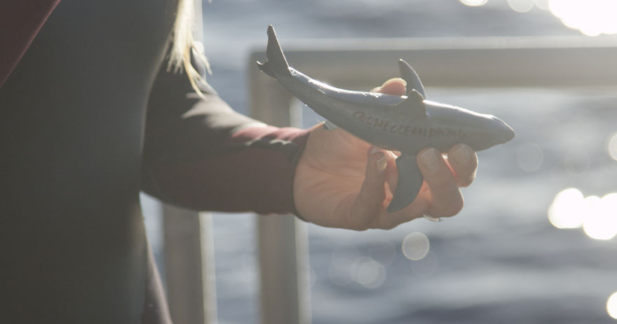 I Filmed For My Documentary "She Is The Ocean" Amazing Story Of "Shark Whisperer" Ocean Ramsey - Woman Who Swim With The Sharks Around The World And Helping To Save Them.