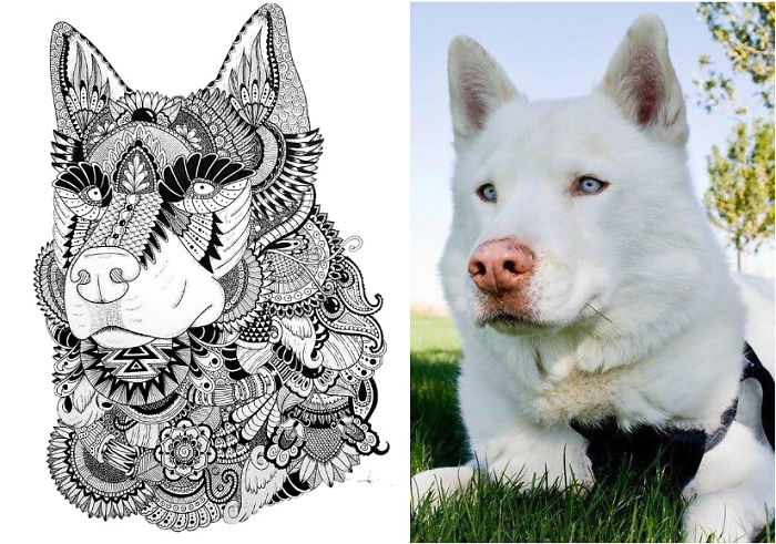 I Draw Zentangle Style Pet Portraits