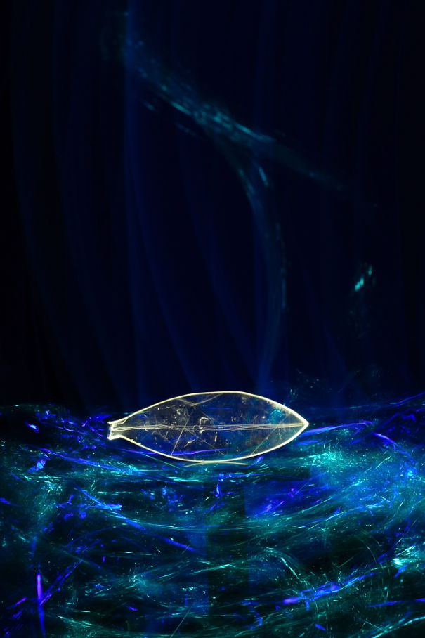 I Painted With Light Brancusi Sculptures I Painted With Light Brancusi Sculptures