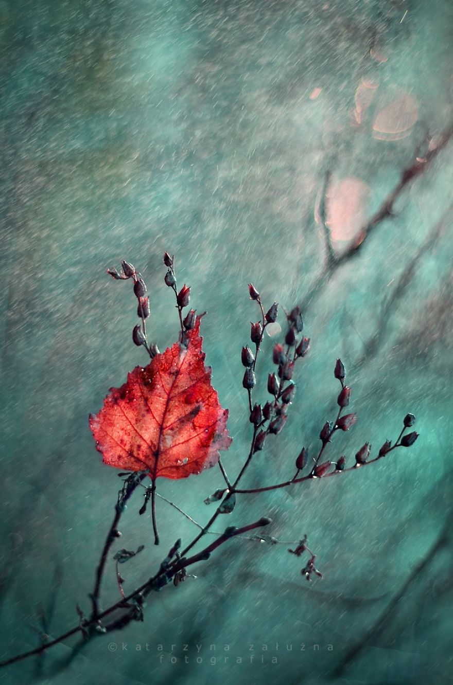 Wuthering Impressions