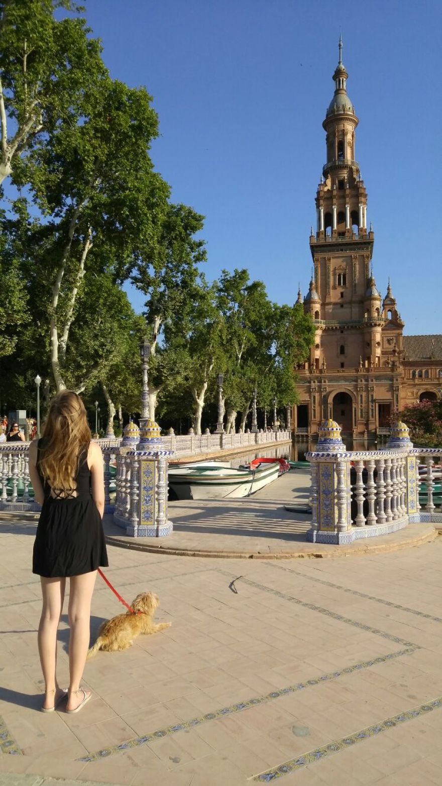 This Little Stray Dog Ended Up Travelling The World With Her New Mom! This Little Stray Dog Ended Up Travelling The World With Her New Mom!