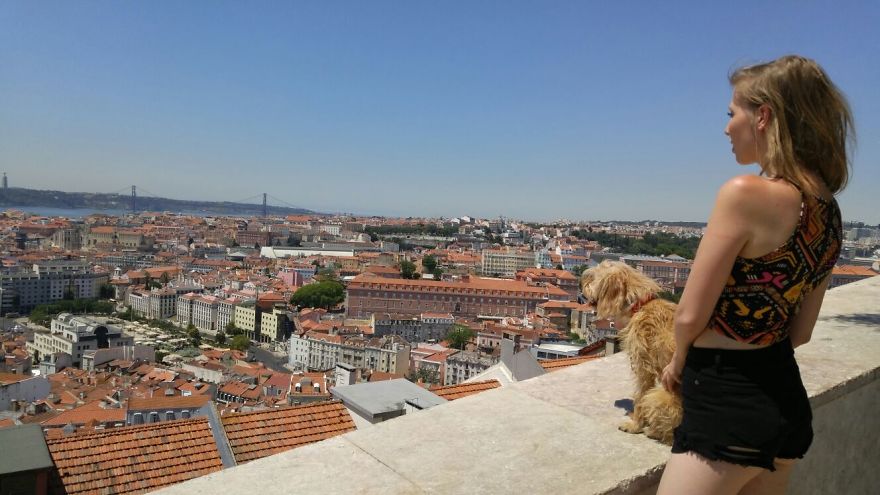 This Little Stray Dog Ended Up Travelling The World With Her New Mom!