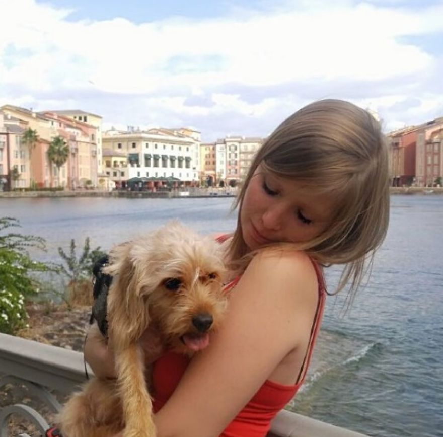 This Little Stray Dog Ended Up Travelling The World With Her New Mom! This Little Stray Dog Ended Up Travelling The World With Her New Mom!