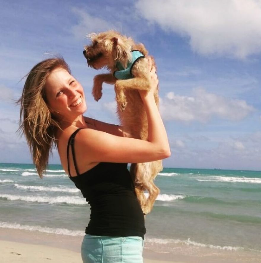 This Little Stray Dog Ended Up Travelling The World With Her New Mom!