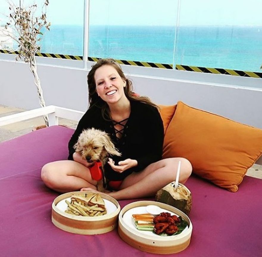 This Little Stray Dog Ended Up Travelling The World With Her New Mom!